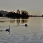 matin d'hiver sur la Seine