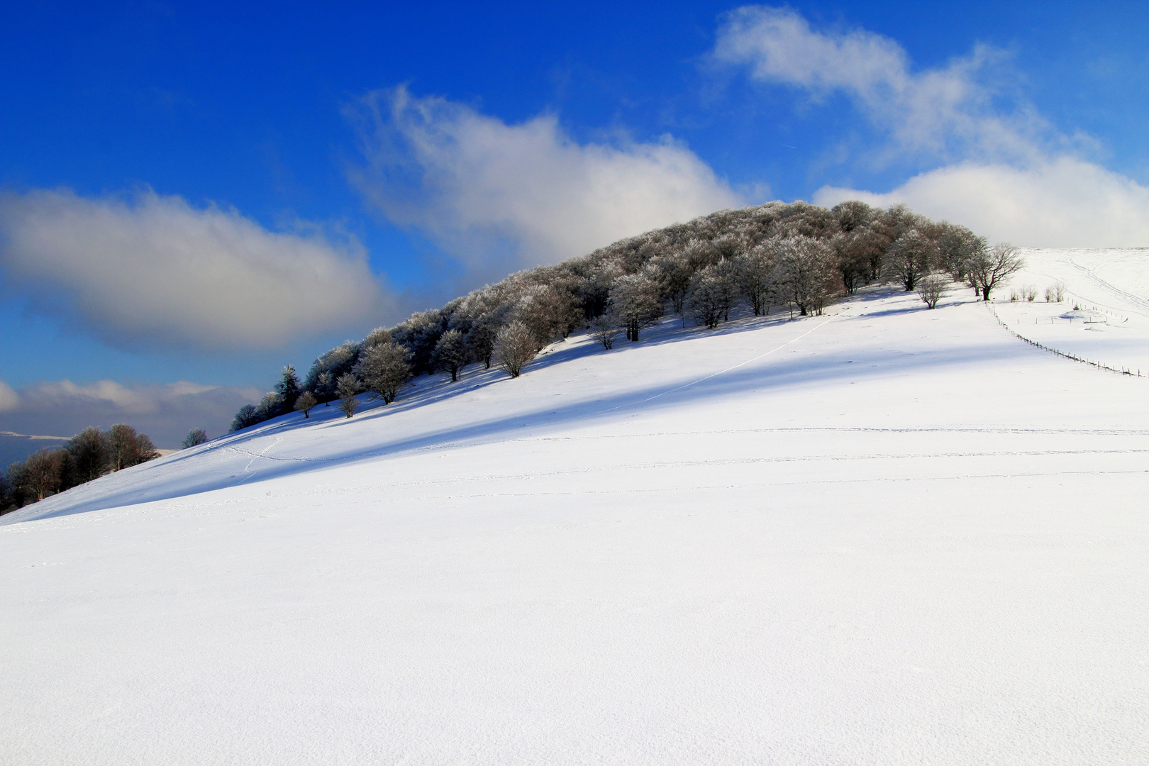 Matin d'hiver sur les Vosges.