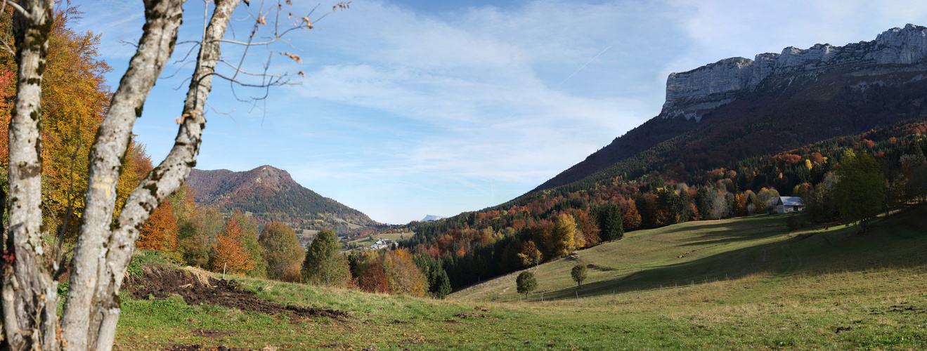 Matin en Chartreuse