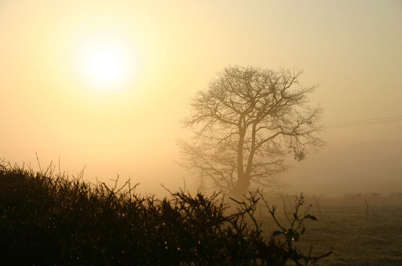 matin en février