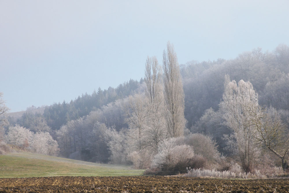 Matin frisquet 3