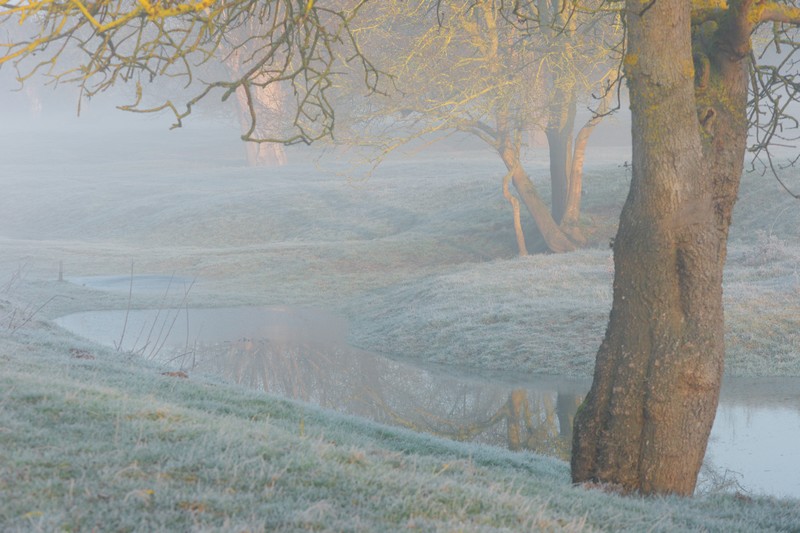 matin froid