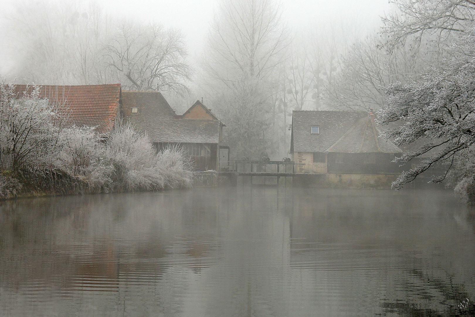 matin givré