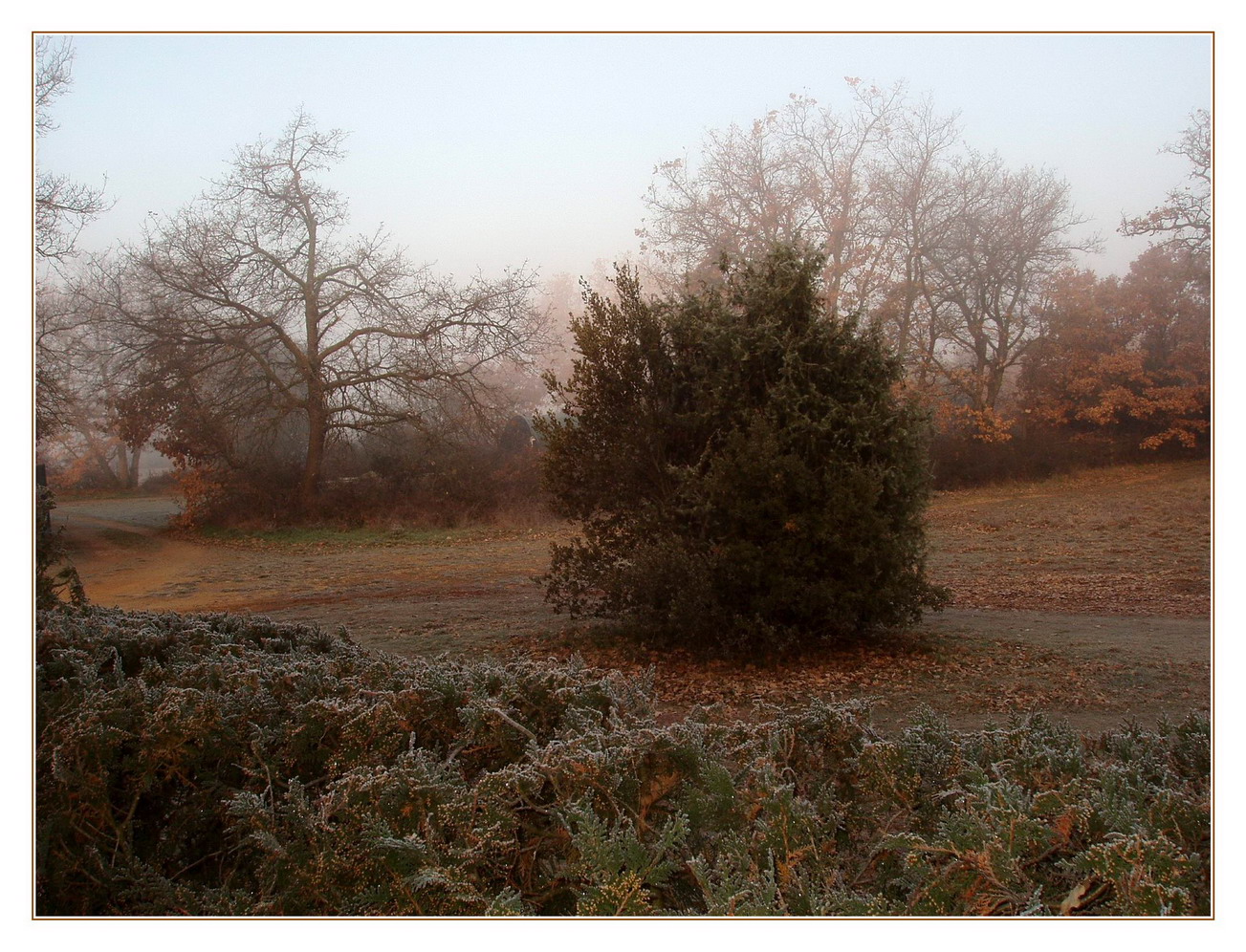 Matin glacé