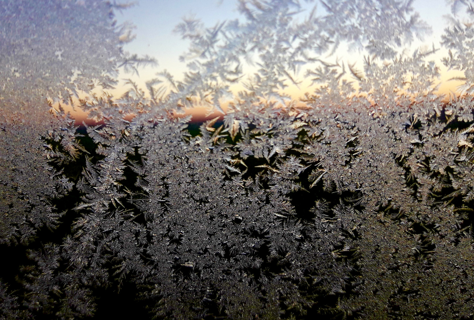 Matin glacé 