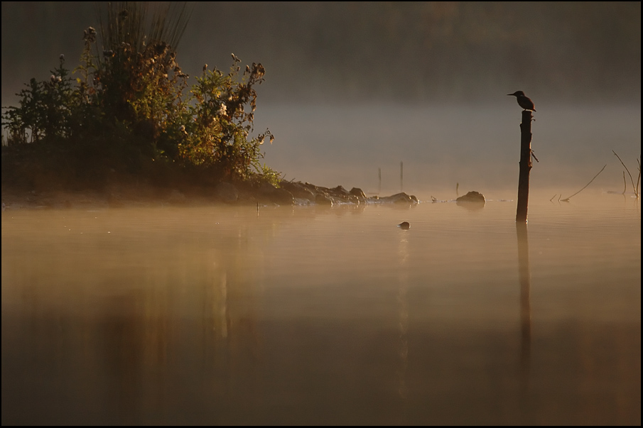 matin pêcheur.