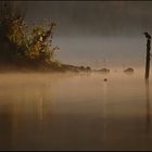 matin pêcheur.