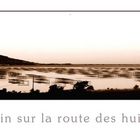 matin sur la route des huitres