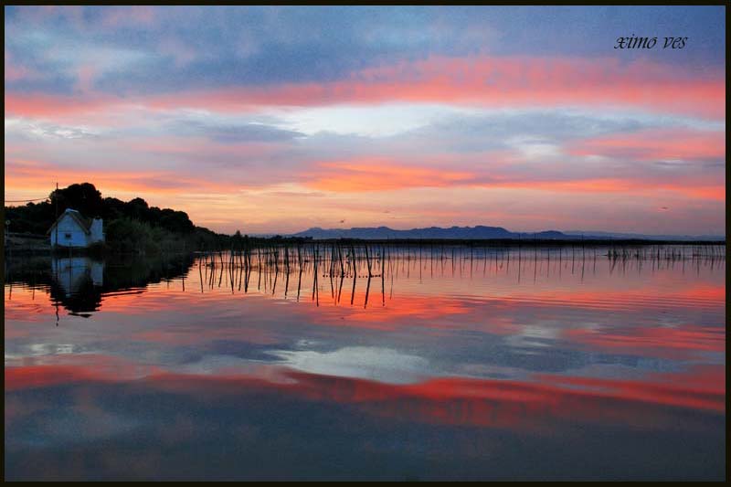 MATINADA EN L´ALBUFERA