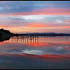 MATINADA EN L´ALBUFERA