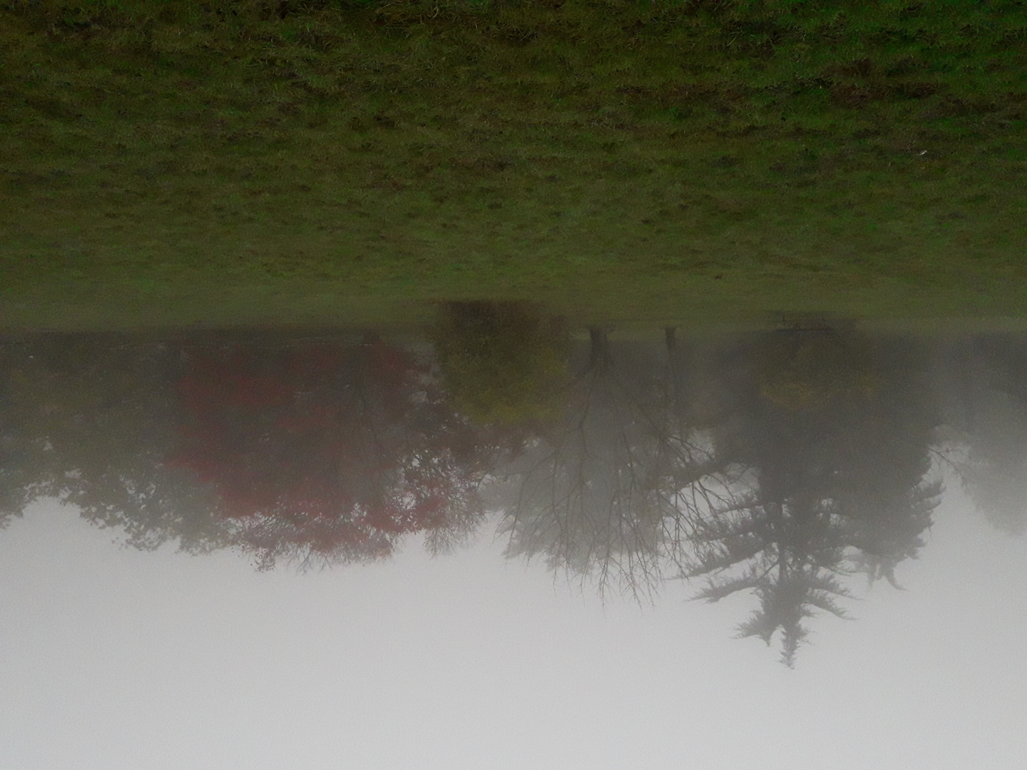 Matinée à  l'arboretum de Paris.