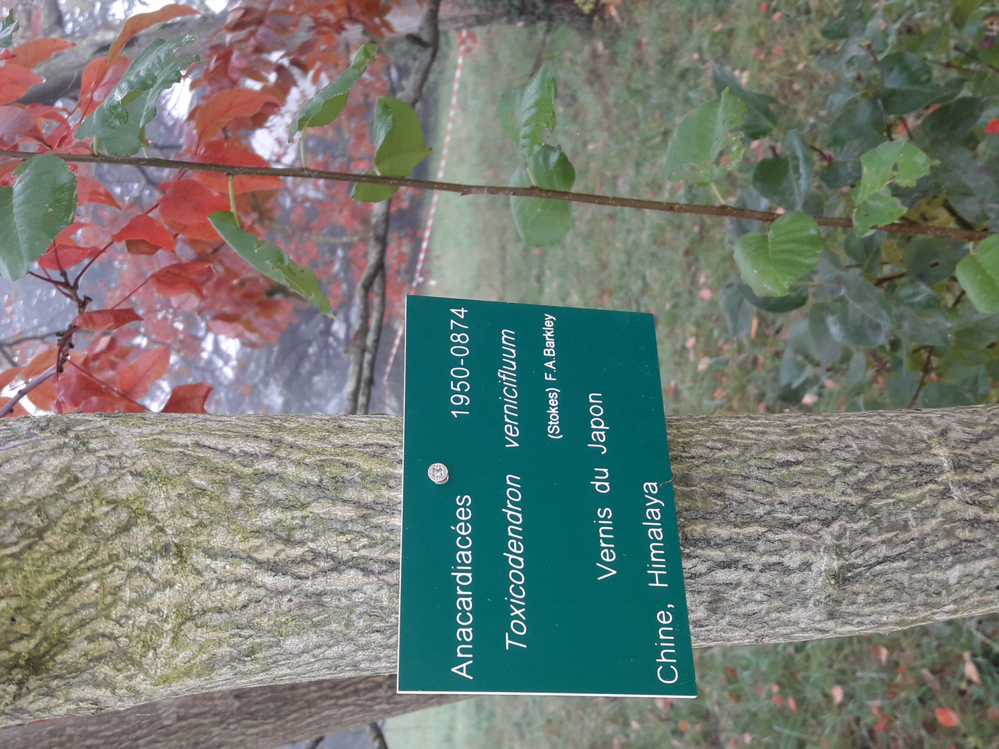 Matinée à  l'arboretum de Paris.