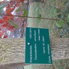 Matinée à  l'arboretum de Paris.