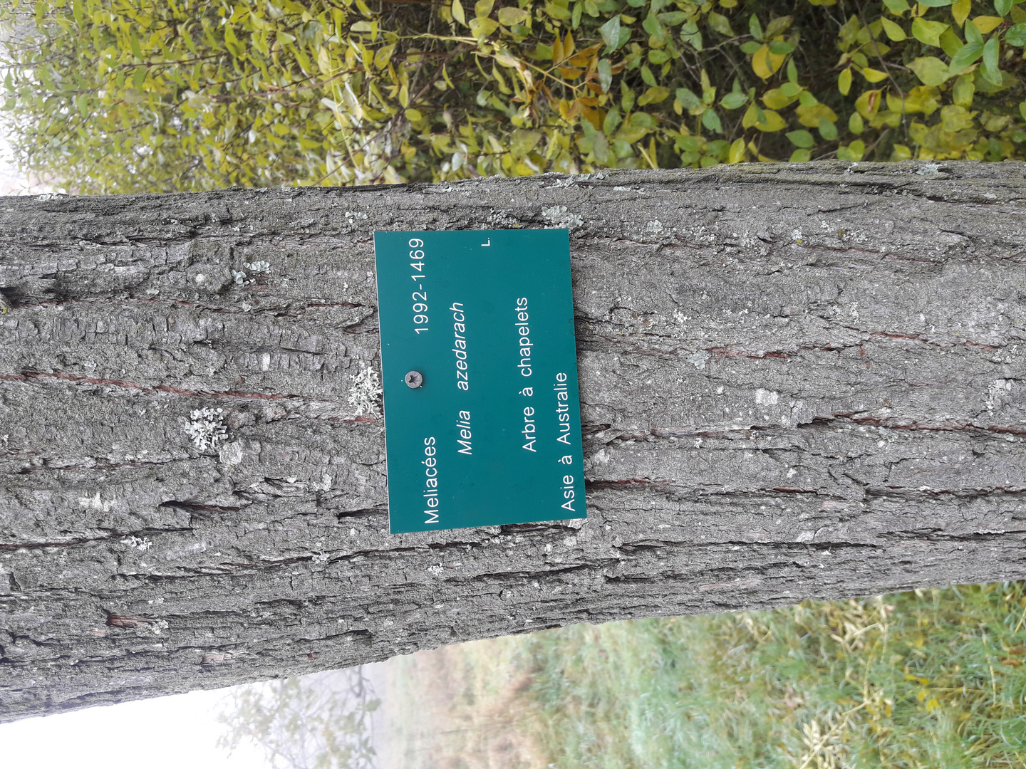 Matinée à  l'arboretum de Paris.