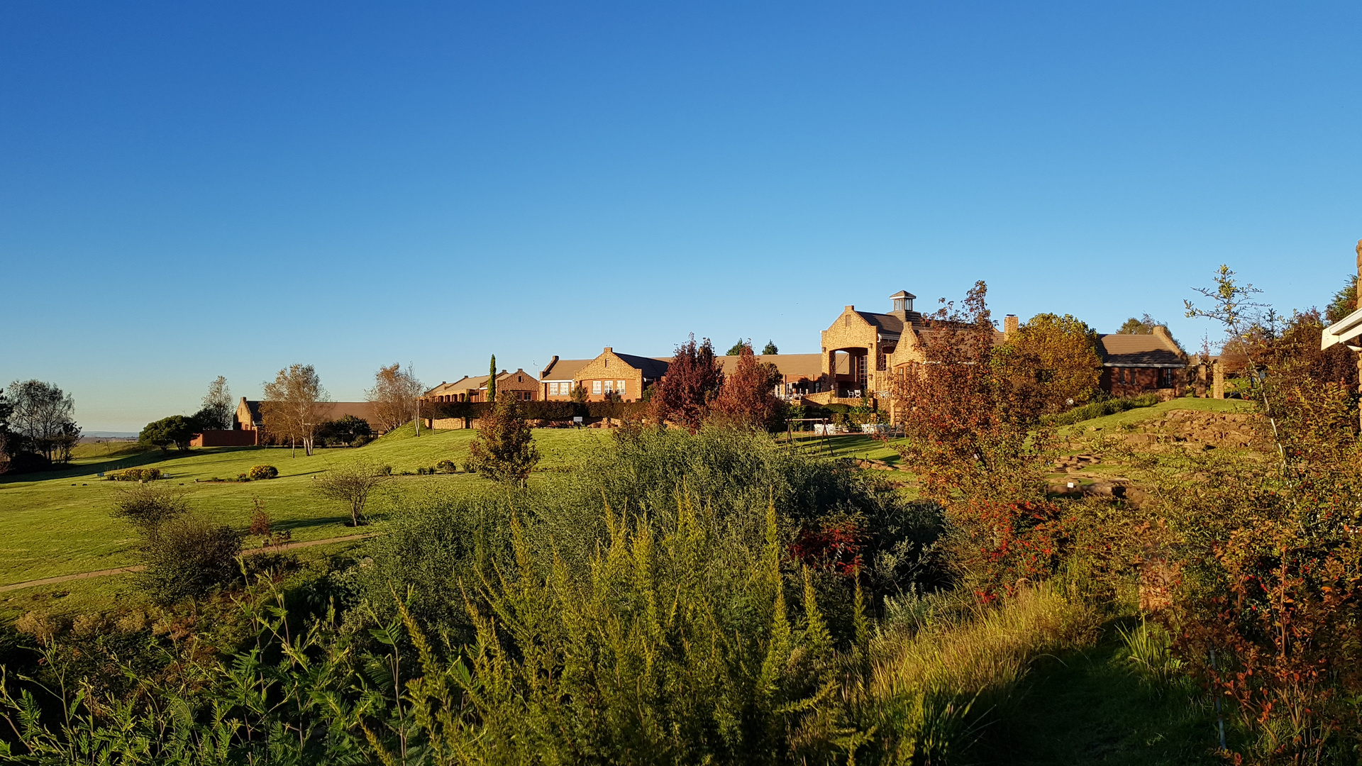 Matinée d'automne