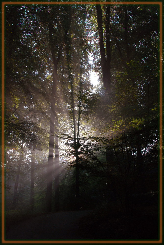 Matinée de fin d''été