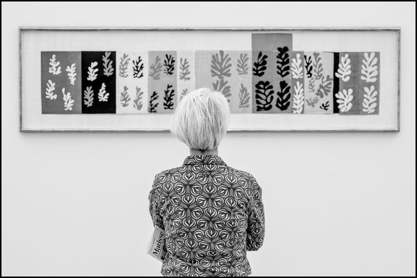 Matisse (1)
