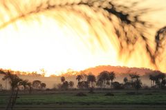 Mato Grosso do Sul III