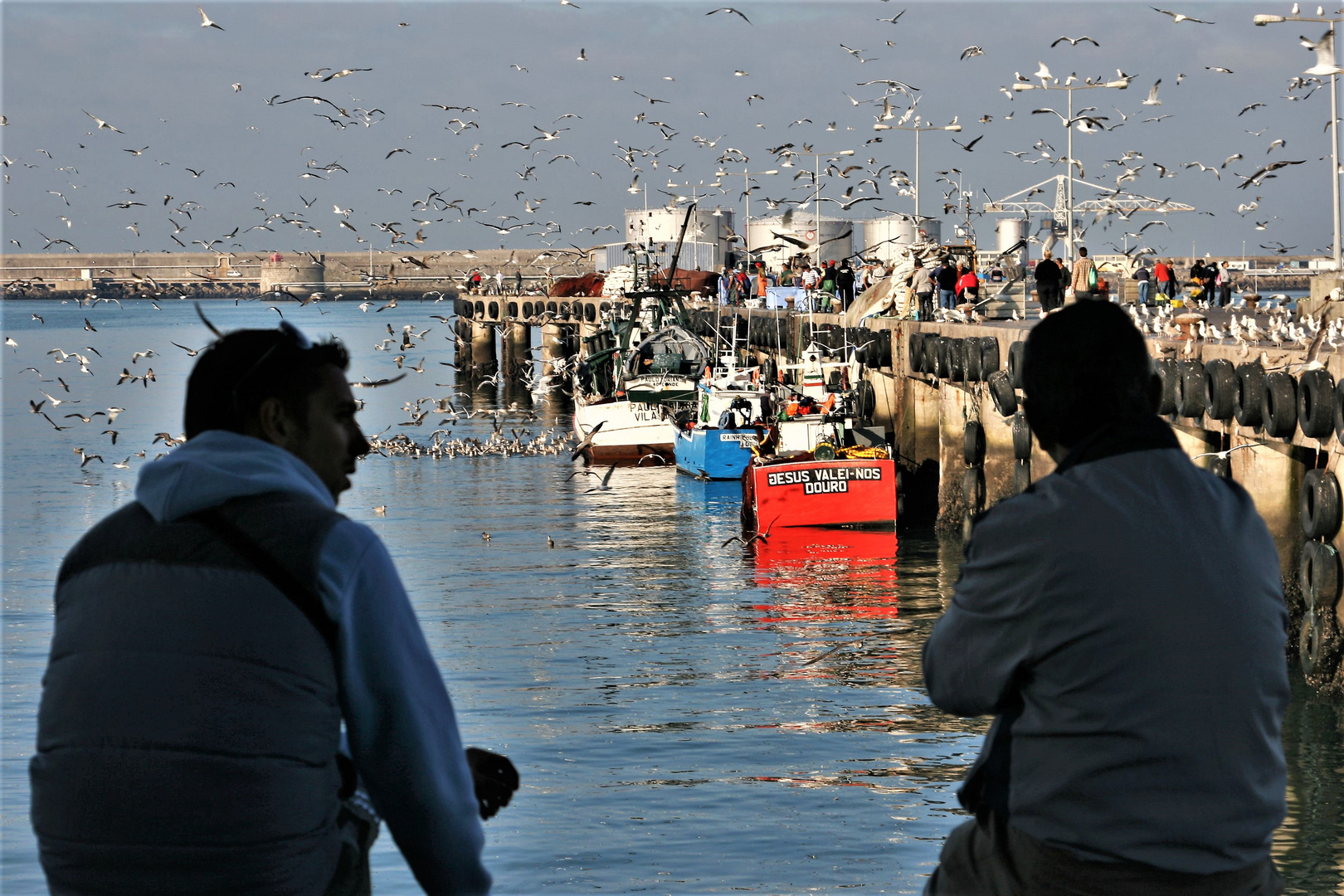 Matosinhos fisher harbour