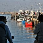 Matosinhos fisher harbour