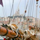 Matûres sur le port de Marseille