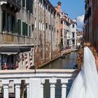 Matrimonio a Venezia (2)