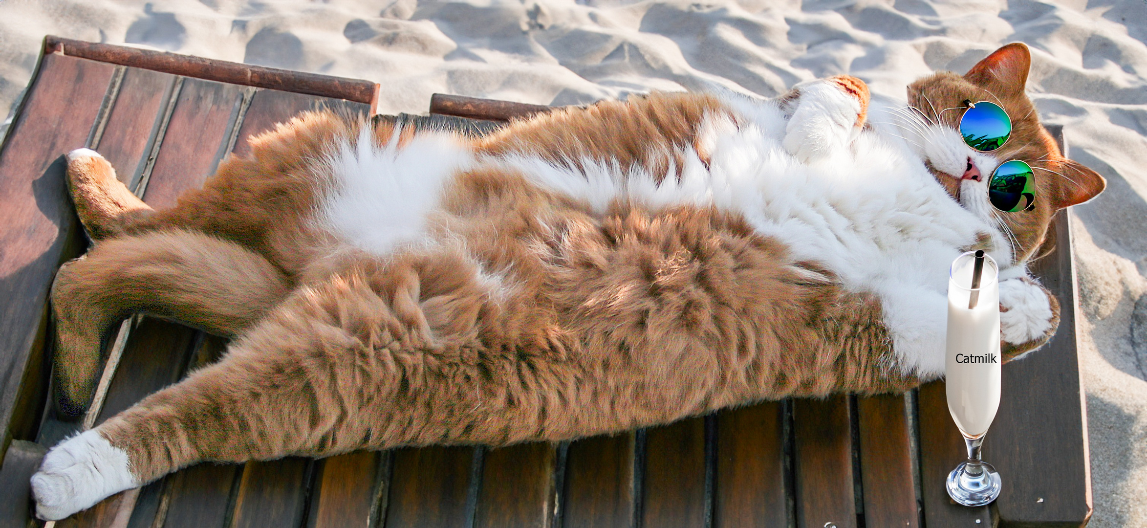 Mats on the Beach