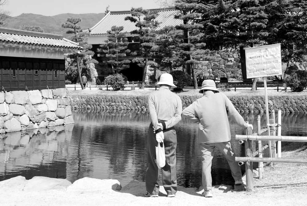 Matsumoto - Castle