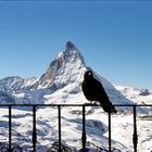 Matterhorn