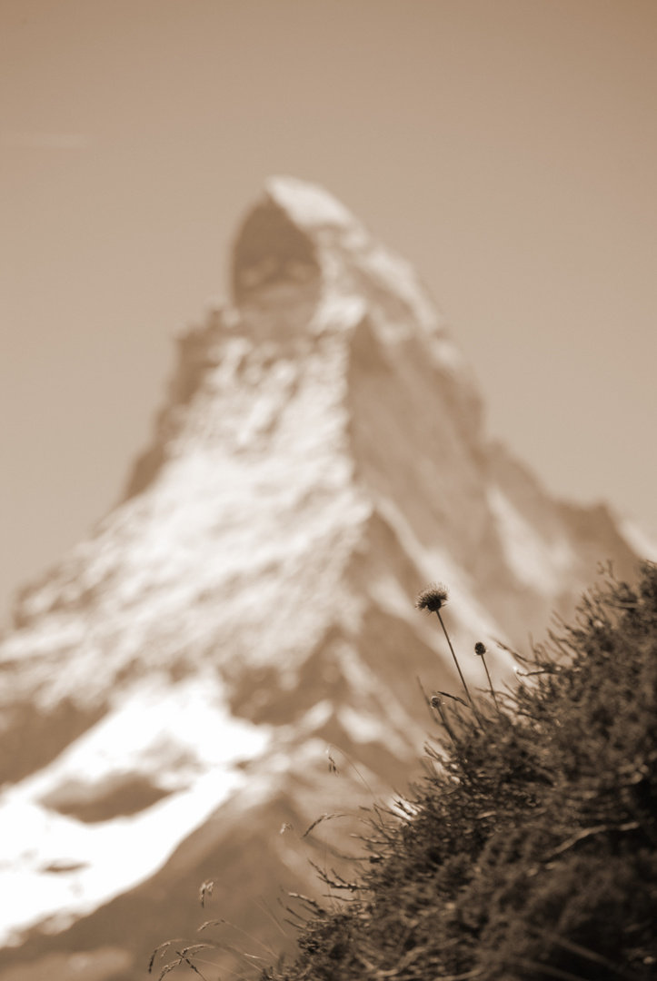 Matterhorn - 4478 m