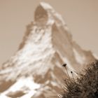 Matterhorn - 4478 m