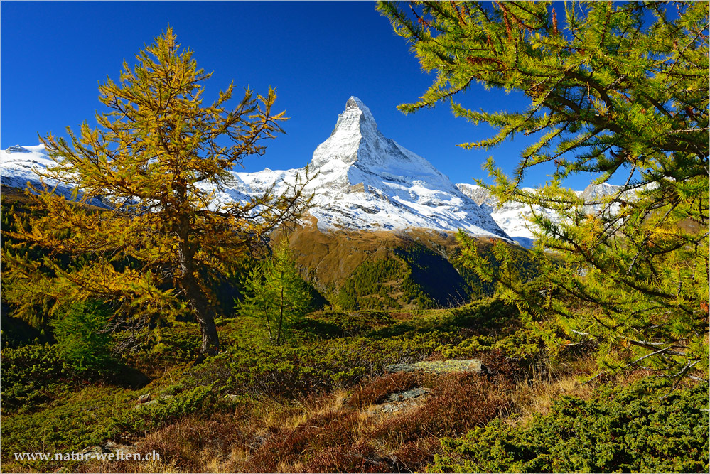 Matterhorn - - - Foto & Bild | world, herbst, schweiz Bilder auf