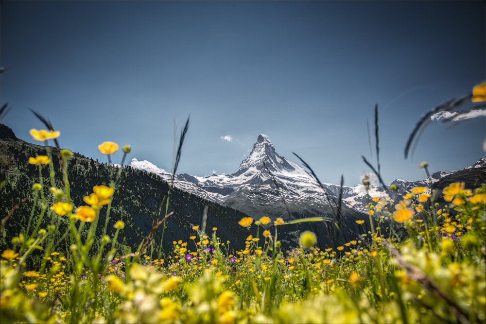 Matterhorn 6