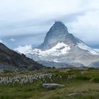 MATTERHORN