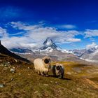 Matterhorn...