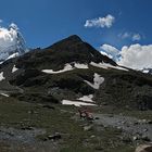 Matterhorn