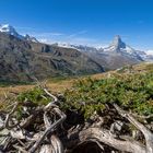 Matterhorn bei Tag