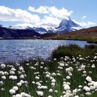 Matterhorn. Bergsee. Schweiz