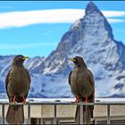 Matterhorn