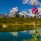 Matterhorn