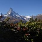 matterhorn