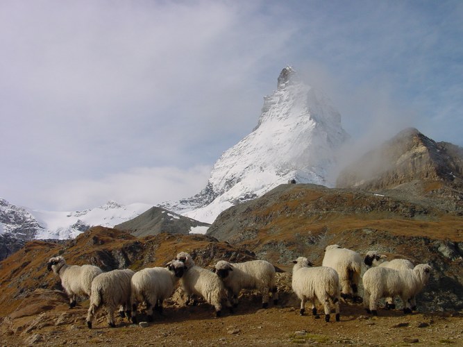 Matterhorn im Herbst