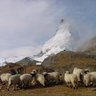 Matterhorn im Herbst