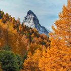 Matterhorn im Herbst