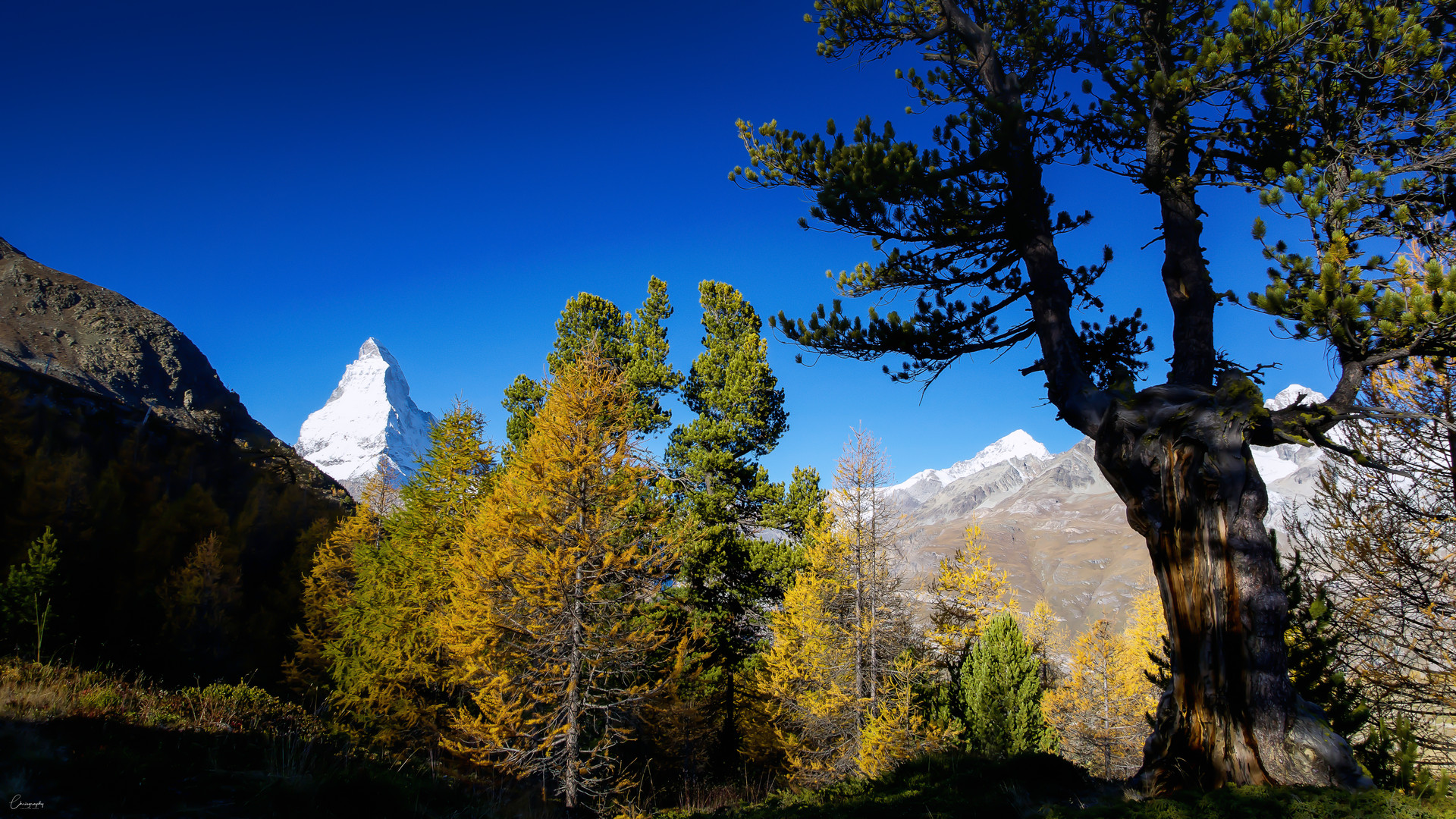 Matterhorn im Herbstgewand