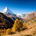 Matterhorn im Herbstkleid