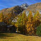 Matterhorn im Herbstkleid