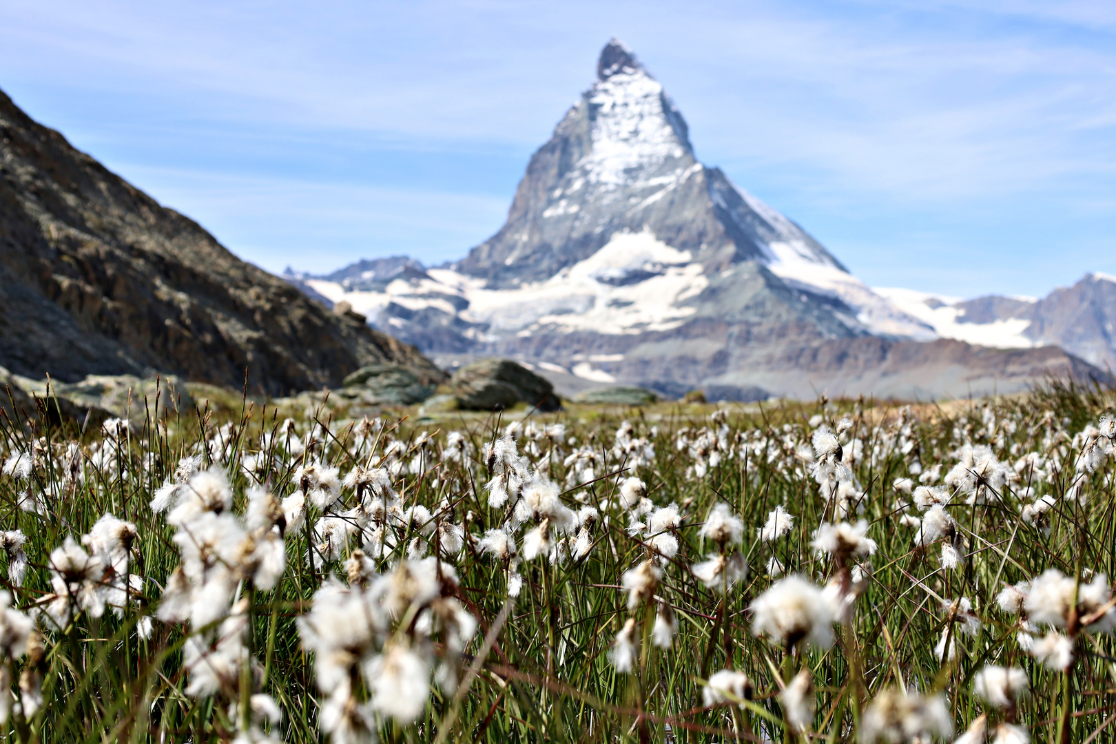 Matterhorn mit Blumenwiese