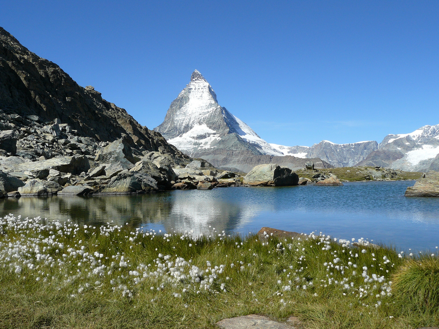 Matterhorn und Wollgras
