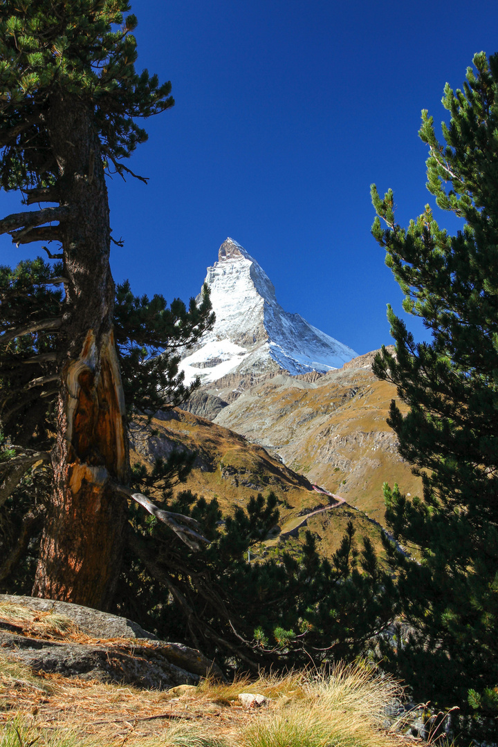 Matterhorn Zermatt Schweiz